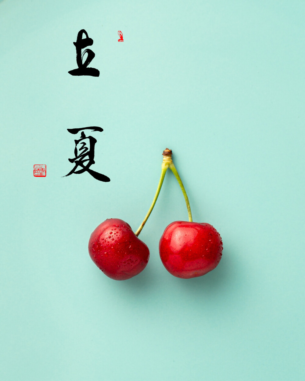 鬥指東南，維為立夏，
萬物皆長，來日方長⋯⋯