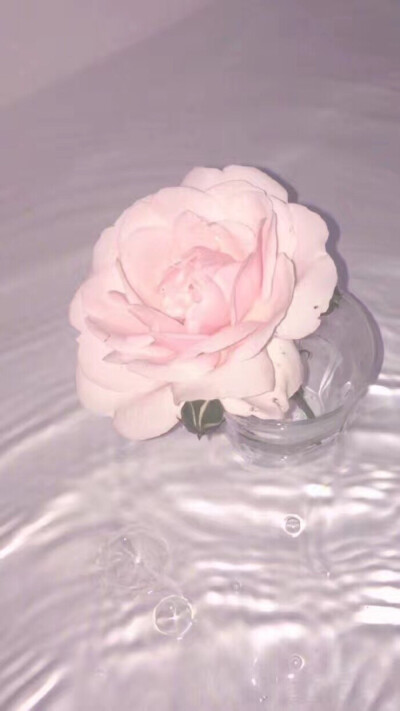 粉色壁纸
草莓果酱