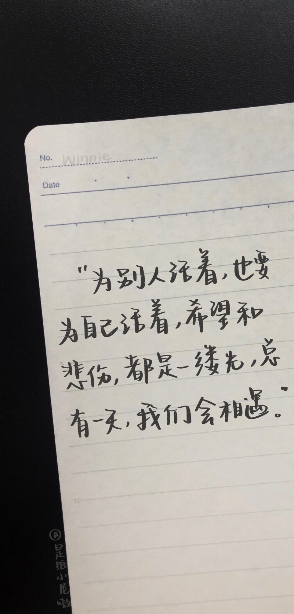 “今天不想跑，
所以才去跑”
——村上春树
❤️
• 文素来源四月摘抄贴
• 手写©️是维小尼嗷
——
今天小尼终于9图营业啦
而且应了大家的要求，做了壁纸尺寸的！！惊喜吧
#Winnie的摘抄##一起练字##手写壁纸# ​