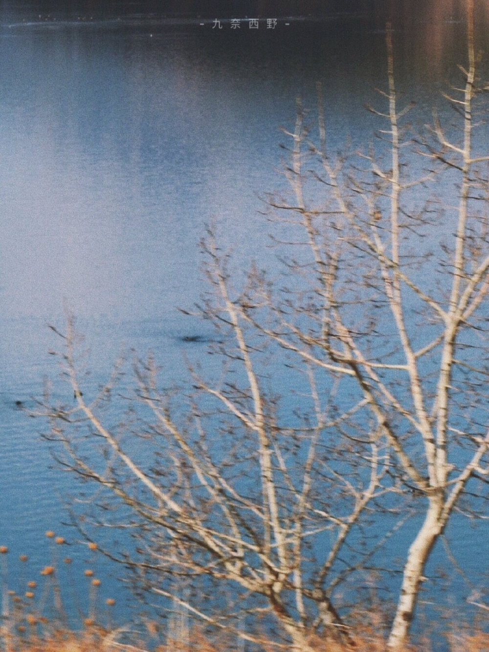 风景壁纸