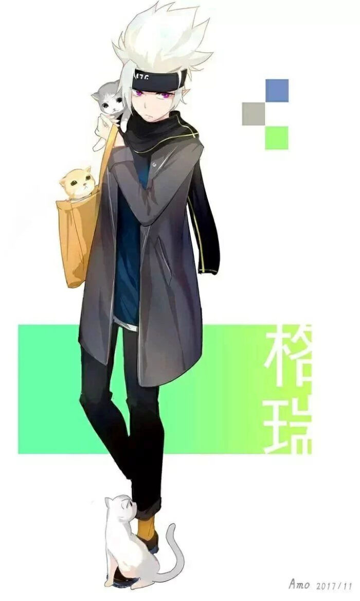 凹凸世界 金 格瑞 嘉德罗斯 安迷修 雷狮 卡米尔
（侵权致歉）