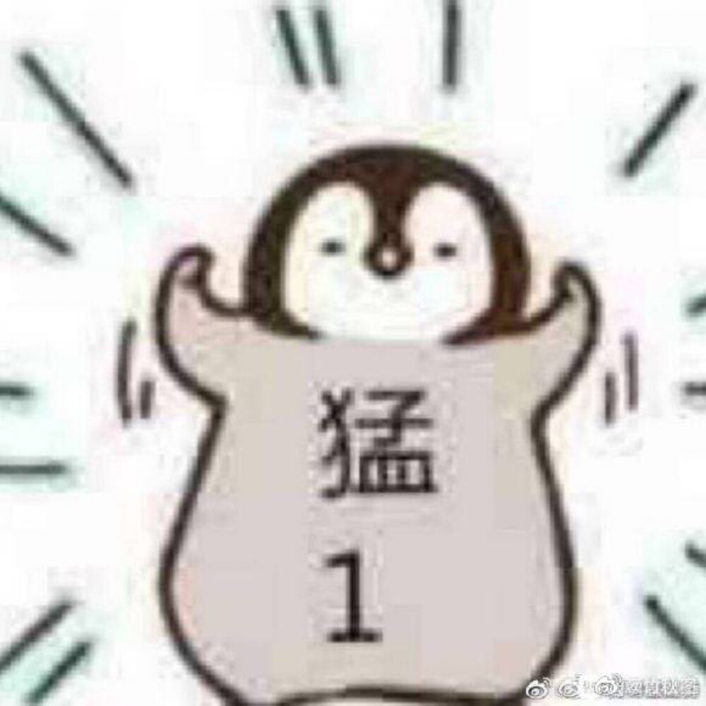 企鹅表情包