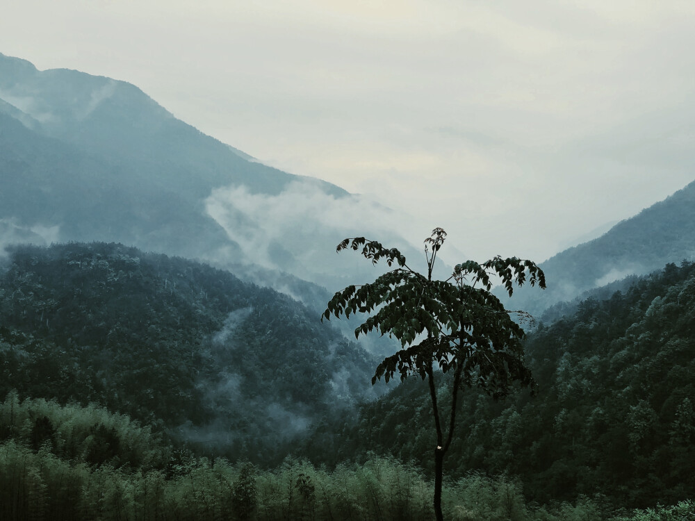 深山云雾