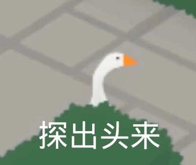 芬芳表情