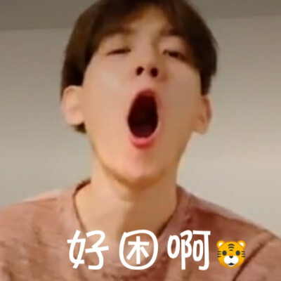 伯贤直播最新表情包，自制，不喜勿喷，喜欢的抱图，二传注明