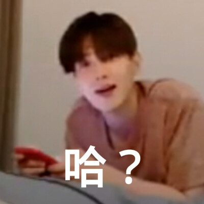 伯贤直播最新表情包，自制，不喜勿喷，喜欢的抱图，二传注明