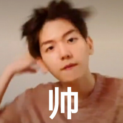 伯贤直播最新表情包，自制，不喜勿喷，喜欢的抱图，二传注明