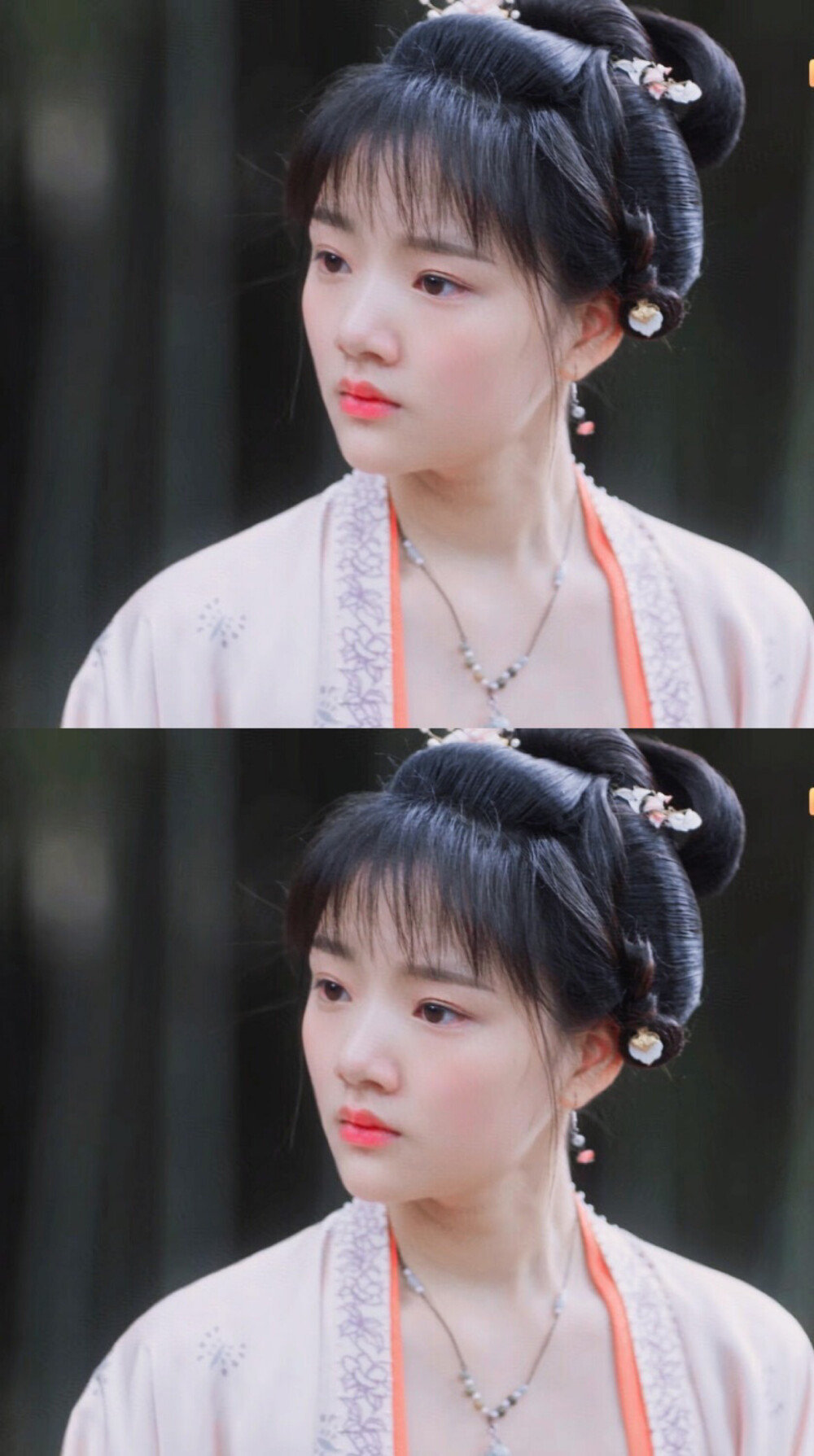 徽柔