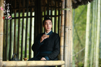 三生三世十里桃花
赵又廷 饰 夜华