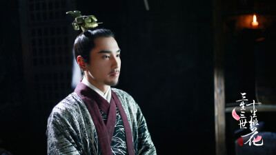 三生三世十里桃花
赵又廷 饰 墨渊