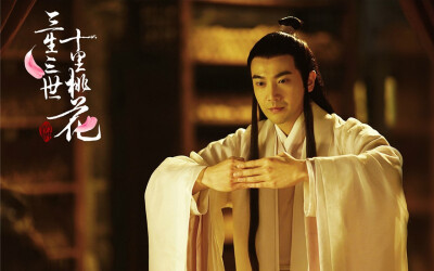 三生三世十里桃花
李东恒 饰 连宋