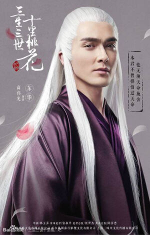 三生三世十里桃花
高伟光 饰 东华