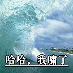 沙雕