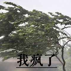 沙雕