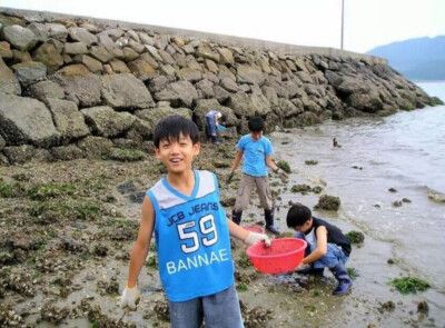 海边捡田螺的田柾国小可爱