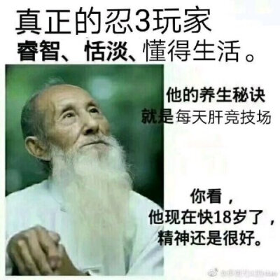 忍者必须死3