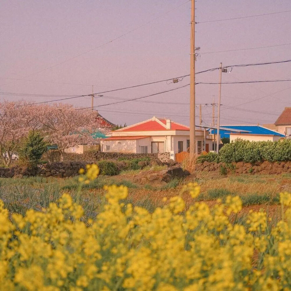 背景➕壁纸来着