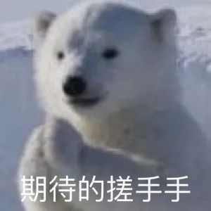 肖战表情包