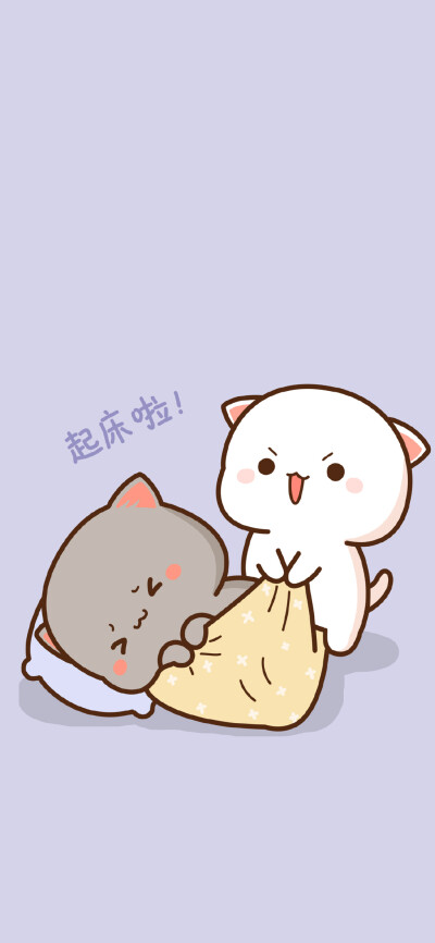 蜜桃猫 壁纸 小两口的日常 微博@不觉晓晓