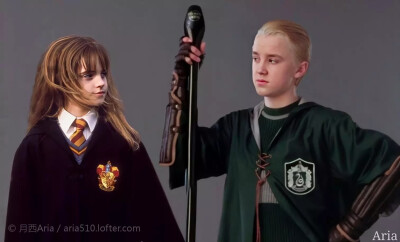 哈利波特 德赫 汤艾
Hermione Granger, Emma Watson; Draco Malfoy, Tom Felton
[lofter@月西Aria]