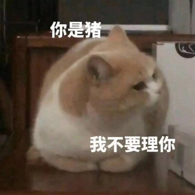 傻雕表情包