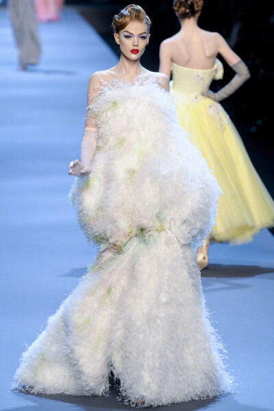 Christian Dior Spring 2011 ​​​