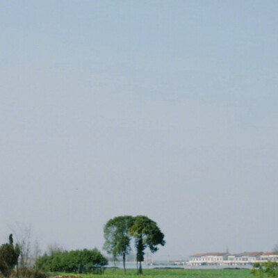 夏日来了
图源vbvsco色调