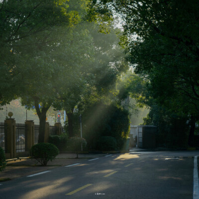 夏日来了
图源vbvsco色调