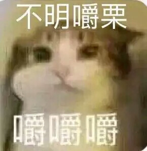 可爱猫猫表情包