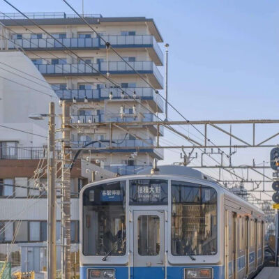 山川星河皆不求，天地只你一惊鸿