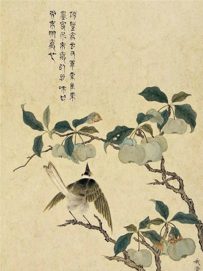 陈明自《花卉册》