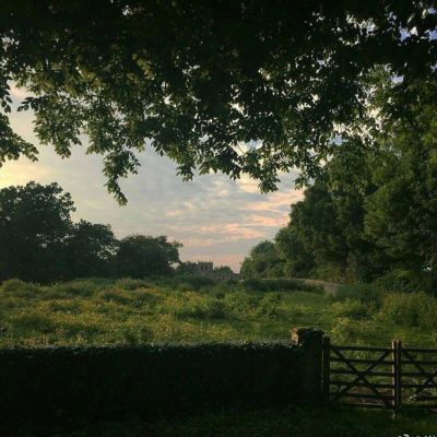 请允许我成为你的夏季