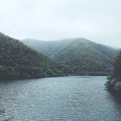 竹海半日游