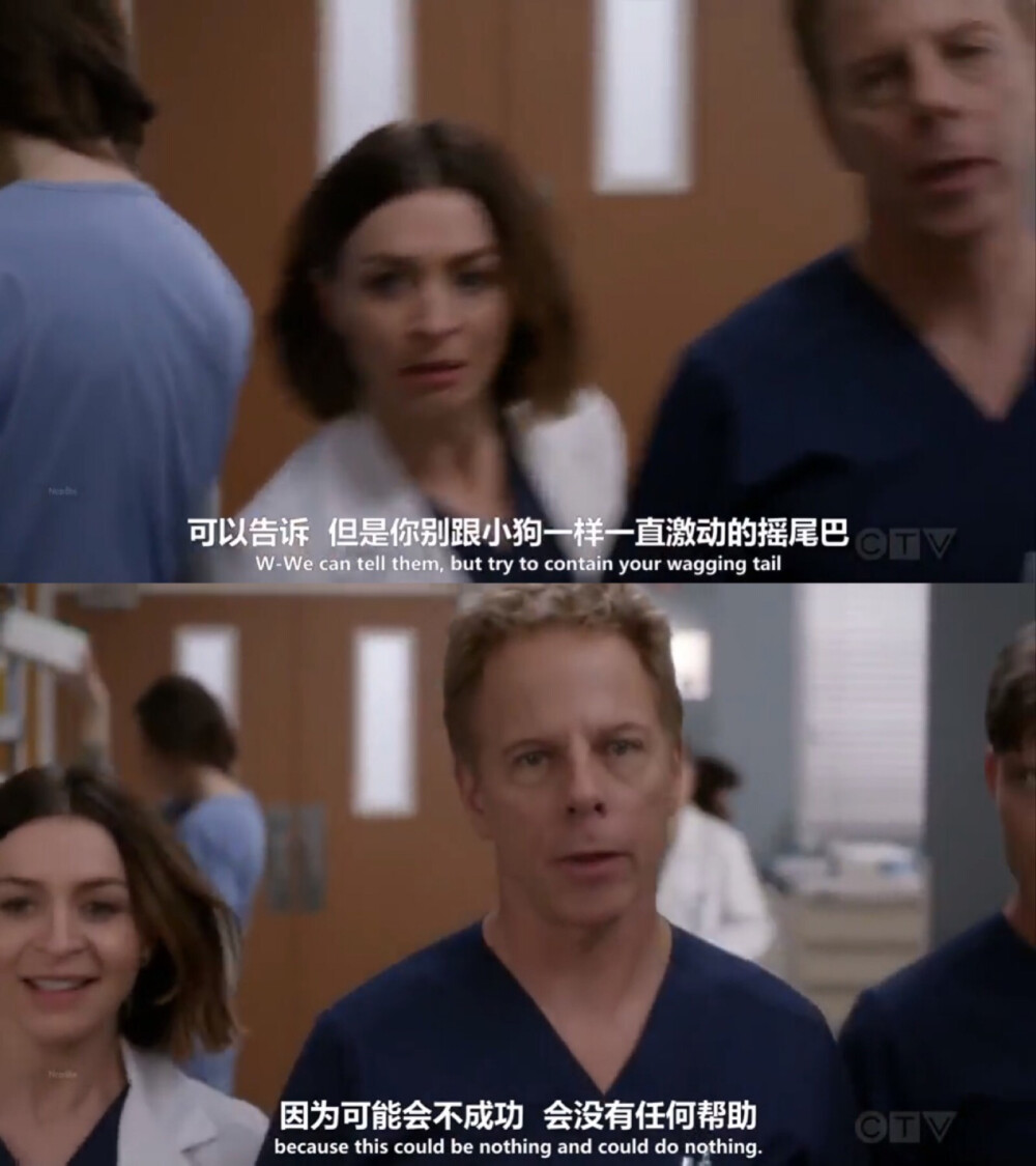 好好好，等你摇摇尾巴再进屋。>_<~｜《Grey's Anatomy（实习医生格蕾）》