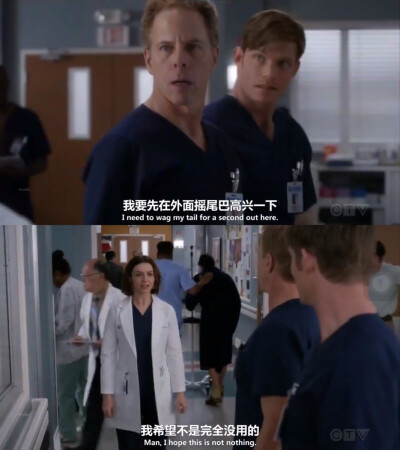 好好好，等你摇摇尾巴再进屋。>_<~｜《Grey's Anatomy（实习医生格蕾）》