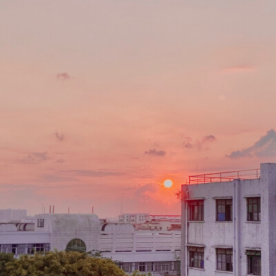 今日拍的朋友圈背景图