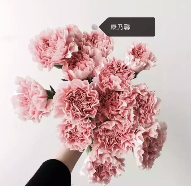 花谱