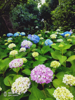 是景 亦是山河 ♡