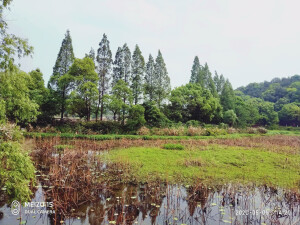 是景 亦是山河 ♡