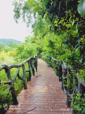 是景 亦是山河 ♡