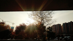 是景 亦是山河 ♡