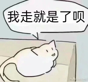 沙雕合集