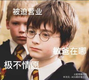 哈利波特表情包/头像