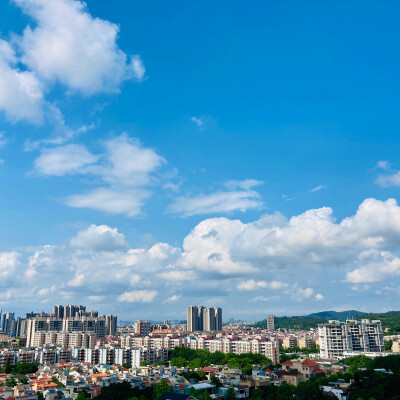 五月这天，阳光晴好，有花也有猫