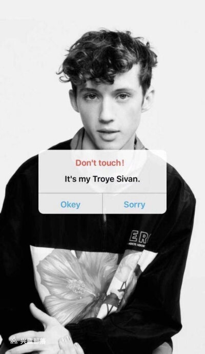 troye