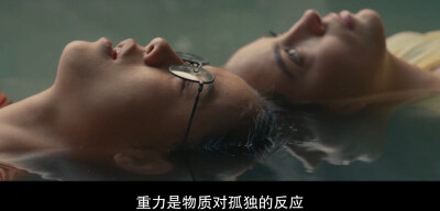 真心半解
