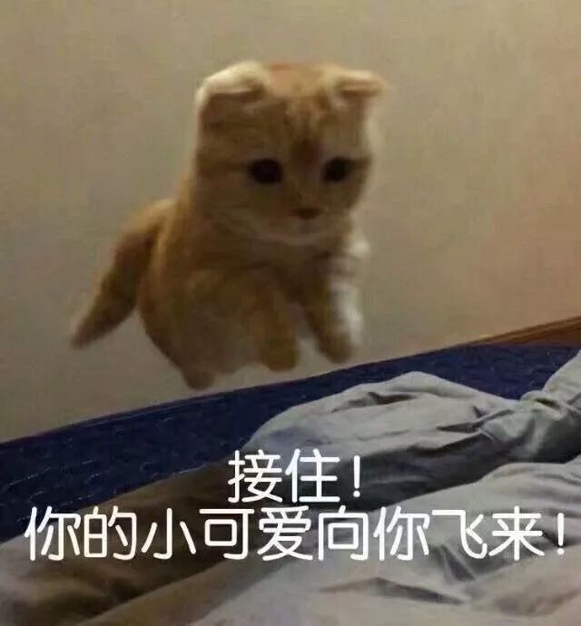 微信表情