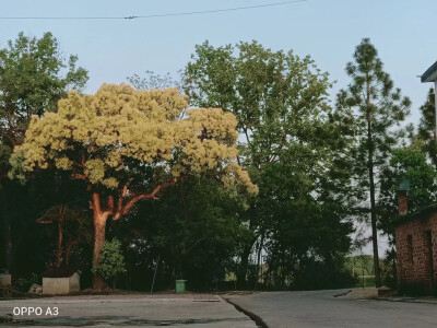 风景图片