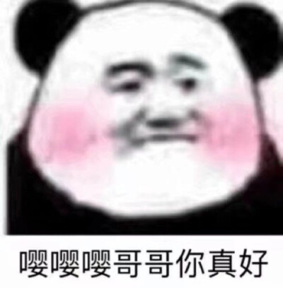 沙雕表情包熊猫头