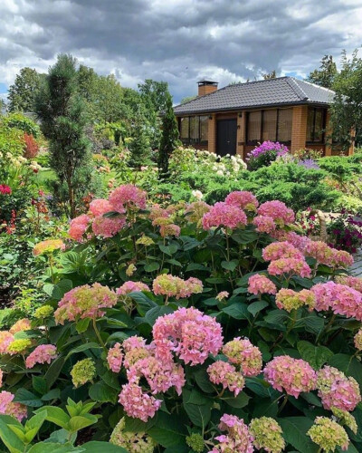 心花怒放的夏天